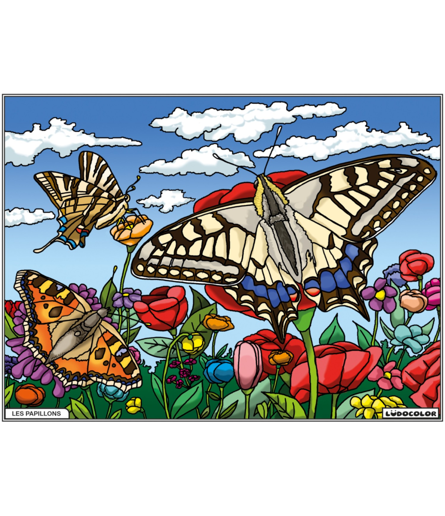 PAPILLONS – Image 2