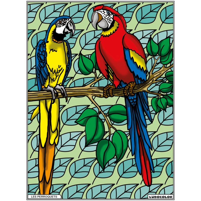 PERROQUETS – Image 2