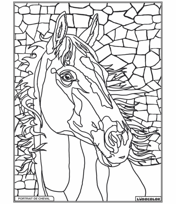 PORTAIT DE CHEVAL