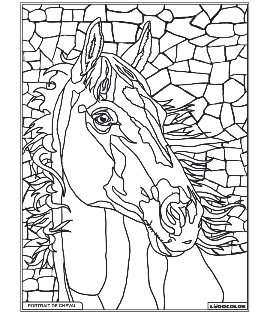 PORTAIT DE CHEVAL – Image 1