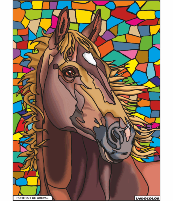 PORTAIT DE CHEVAL