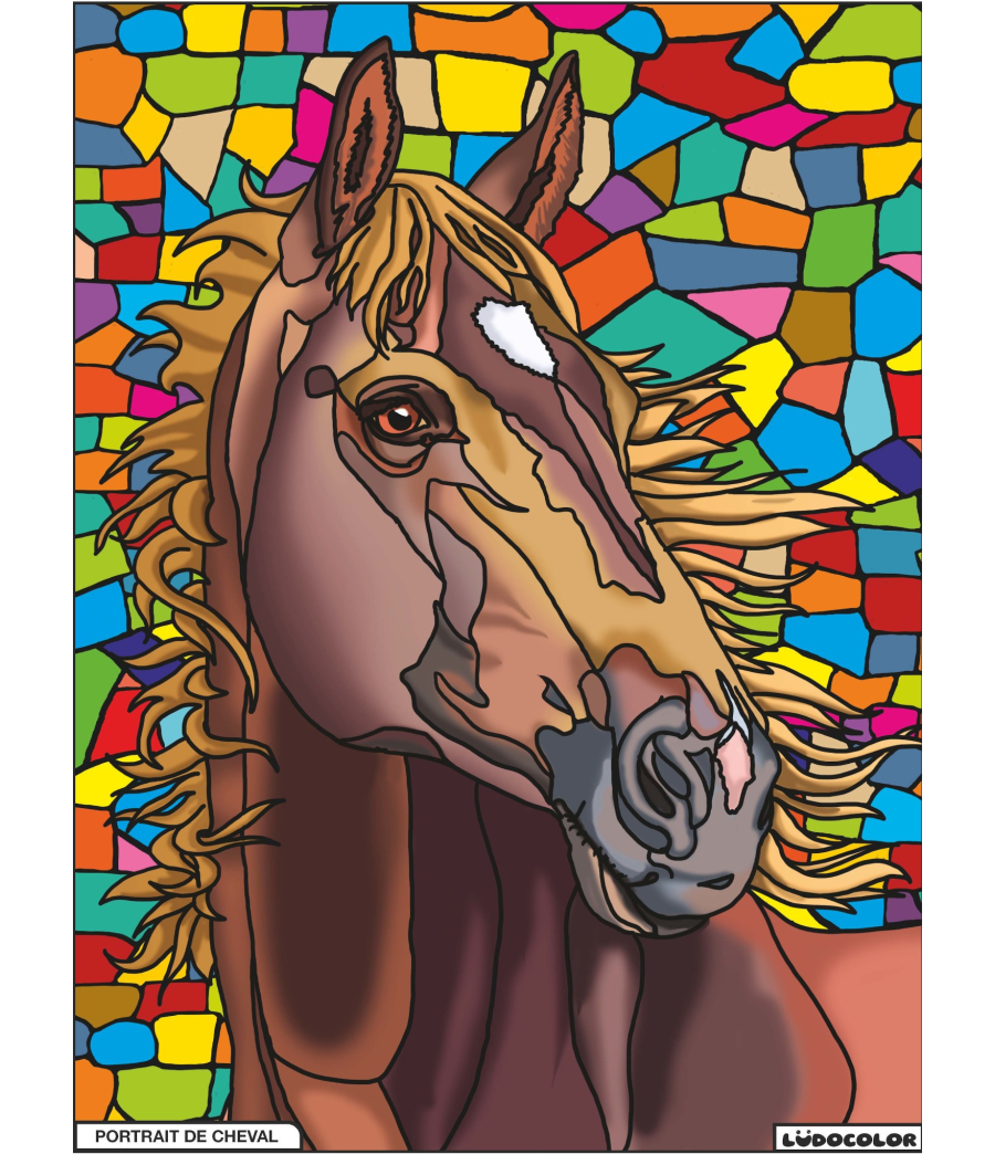 PORTAIT DE CHEVAL – Image 2