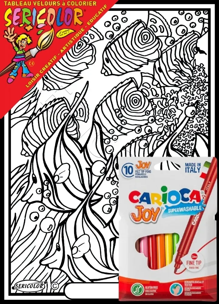 BANDE DE POISSONS – Image 1