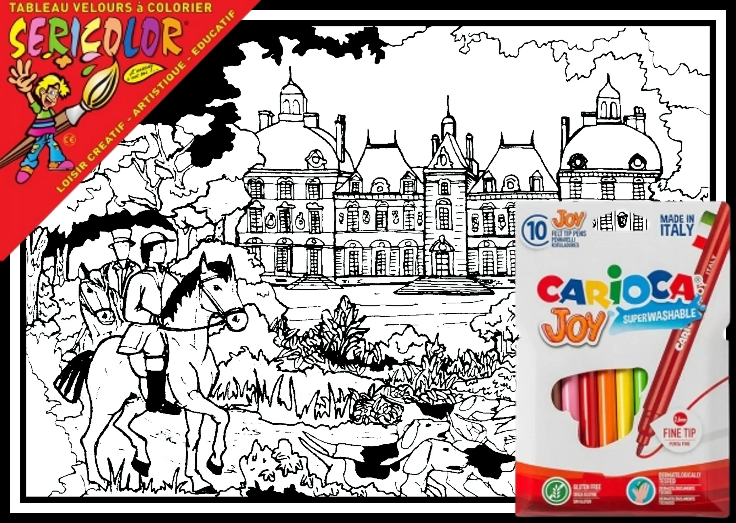 CHÂTEAU DE CHEVERNY – Image 1