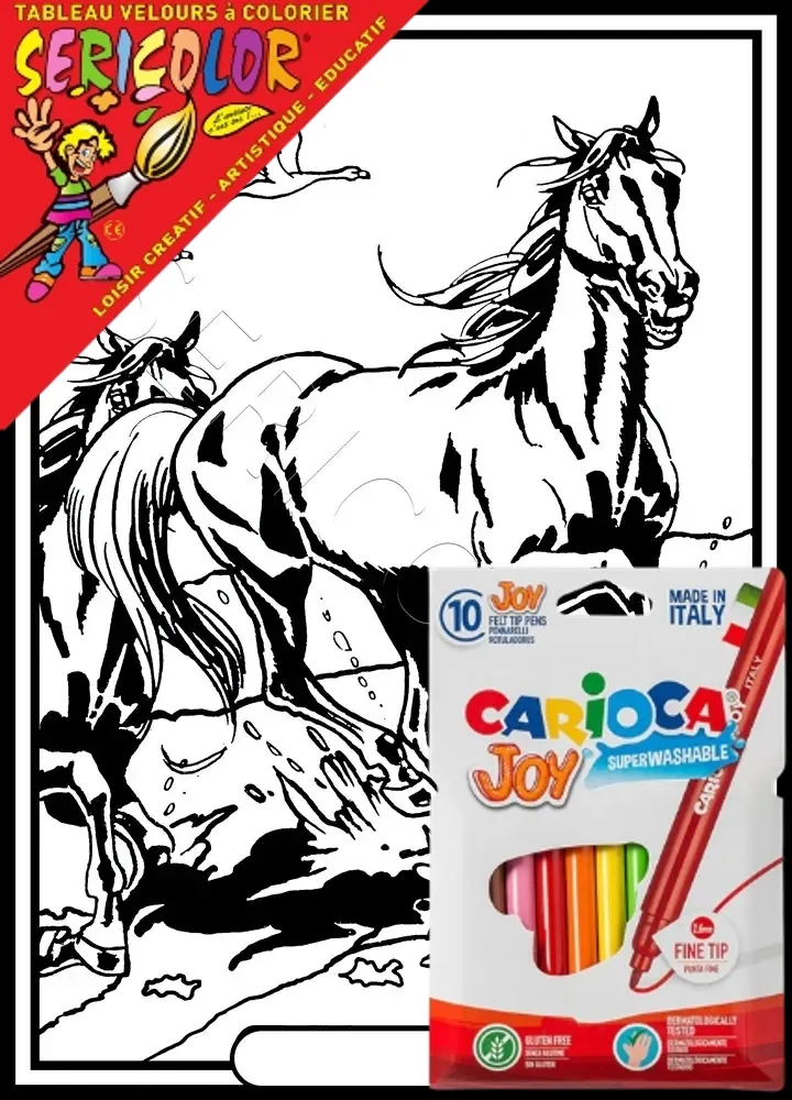 CHEVAL SEUL – Image 1