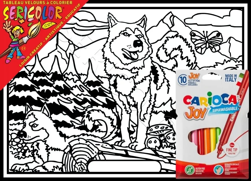 CHIENS HUSKY – Image 1