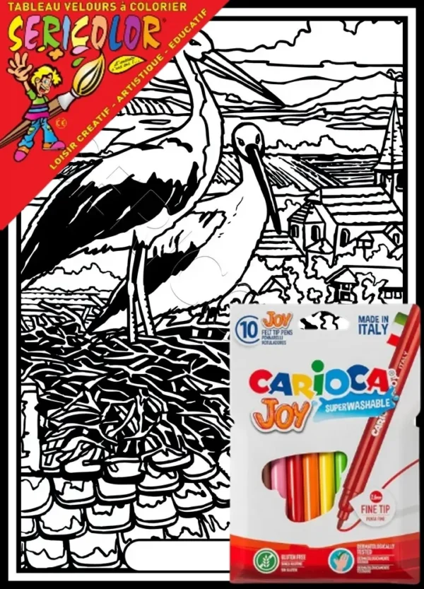 CIGOGNE NID SUR TOIT