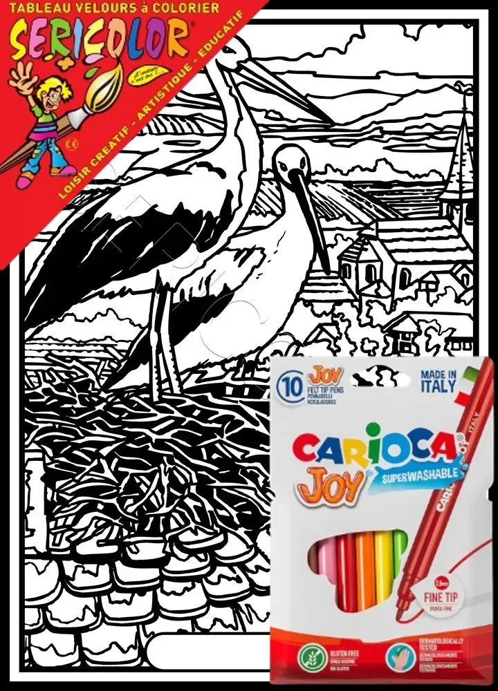 CIGOGNE NID SUR TOIT – Image 1