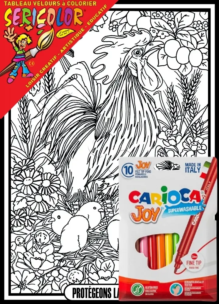 COQ POUSSINS – Image 1