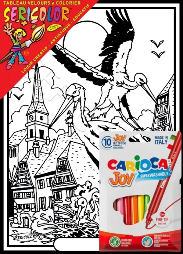 COUPLE CIGOGNE AVEC PETIT