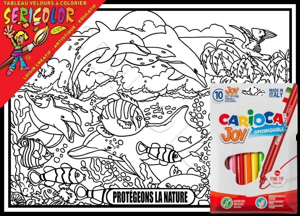 DAUPHINS ET CORAUX – Image 1