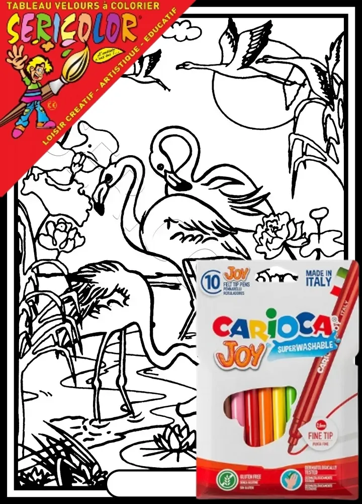 FLAMANT ROSE – Image 1