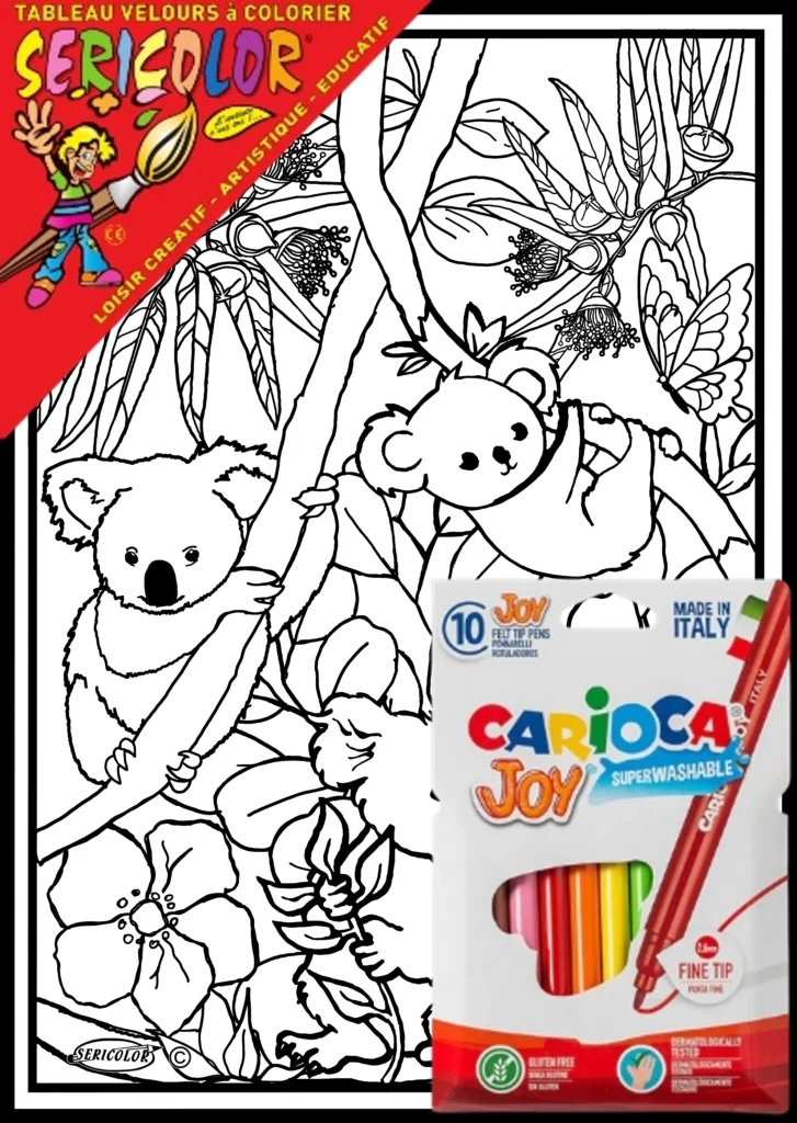 TABLEAU SERICOLOR - KOALAS