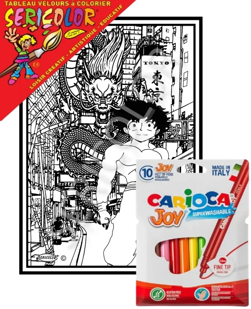 TABLEAU SERICOLOR - MANGA GARCON