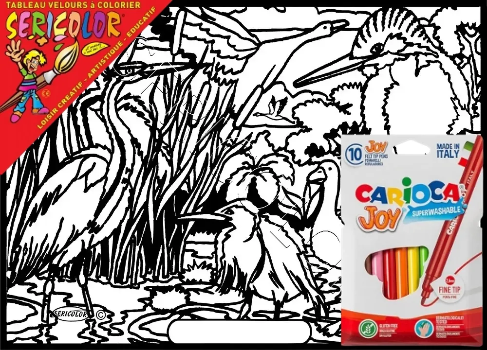 OISEAUX DES MARAIS – Image 1