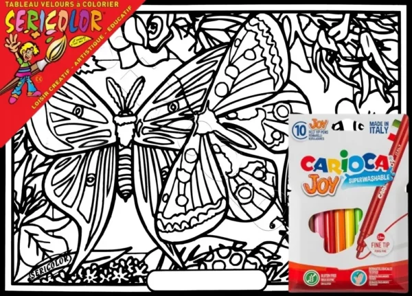 PAPILLON ISABELLE SPHYNX