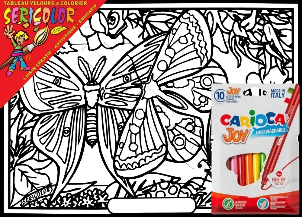 PAPILLON ISABELLE SPHYNX – Image 1