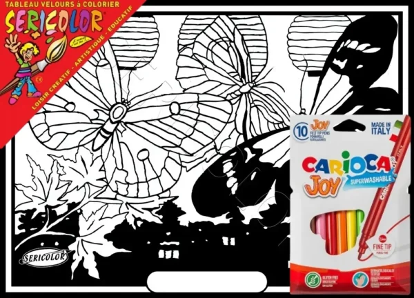 PAPILLON NUIT DE CHINE