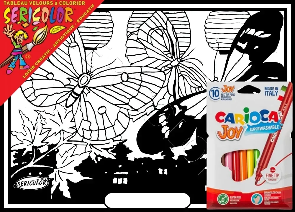 PAPILLON NUIT DE CHINE – Image 1