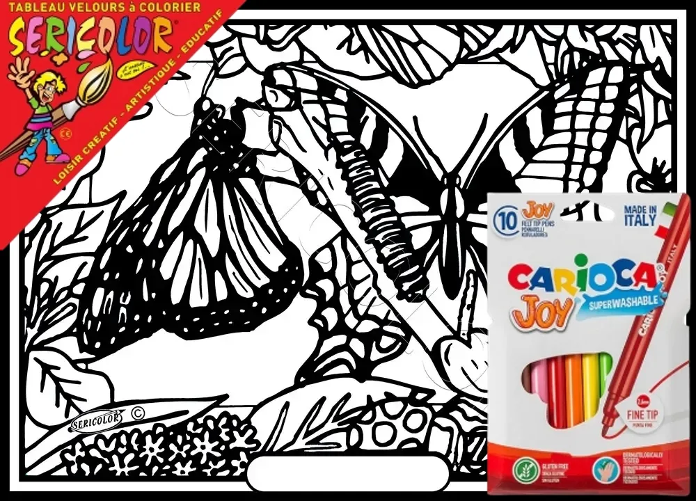 PAPILLONS MACHAONS – Image 1