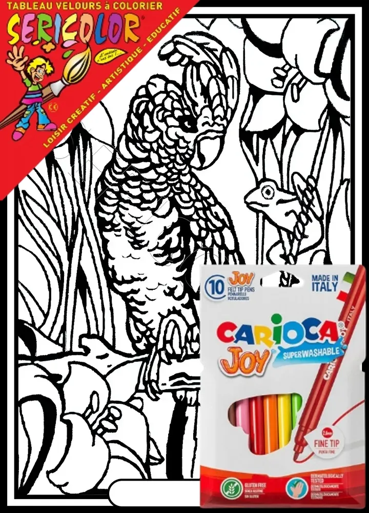 PERRUCHE – Image 1