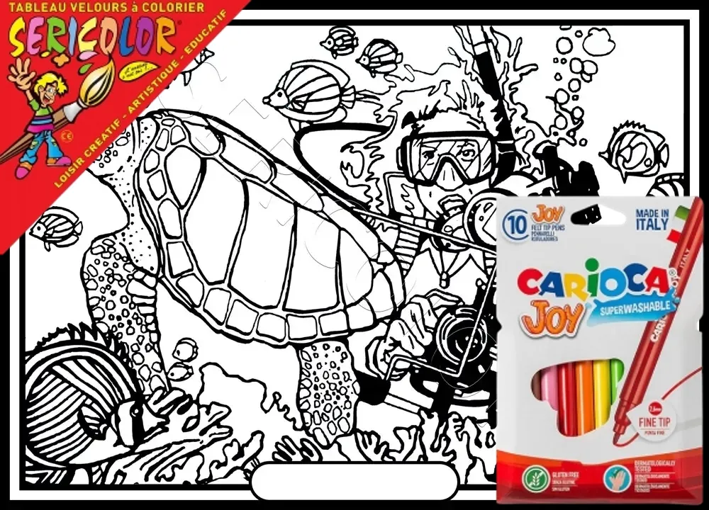 PLONGEUR TORTUE – Image 1