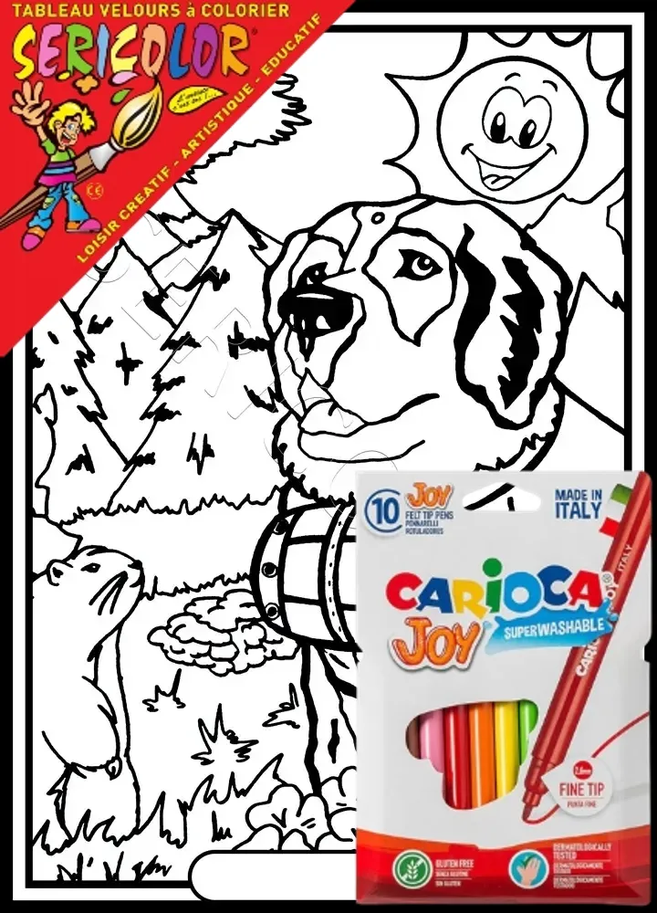 SAINT BERNARD SEUL – Image 1