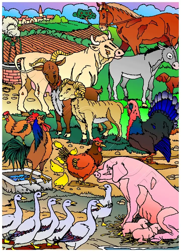 ANIMAUX DE LA FERME – Image 2