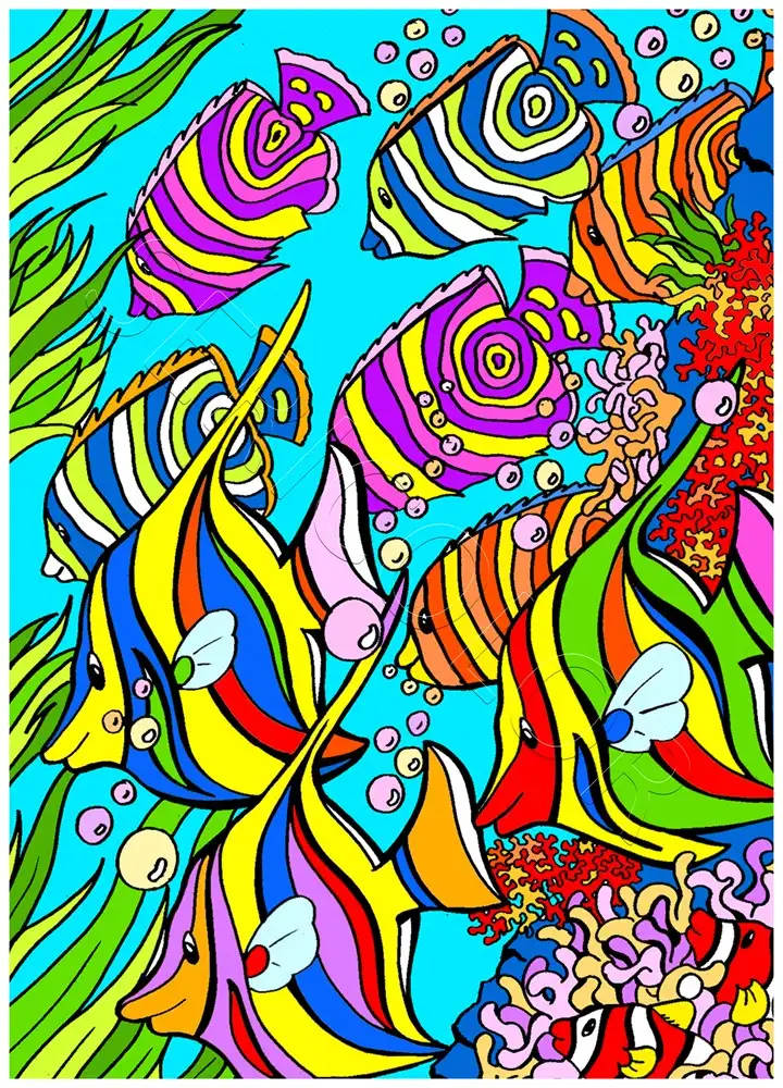 BANDE DE POISSONS – Image 2