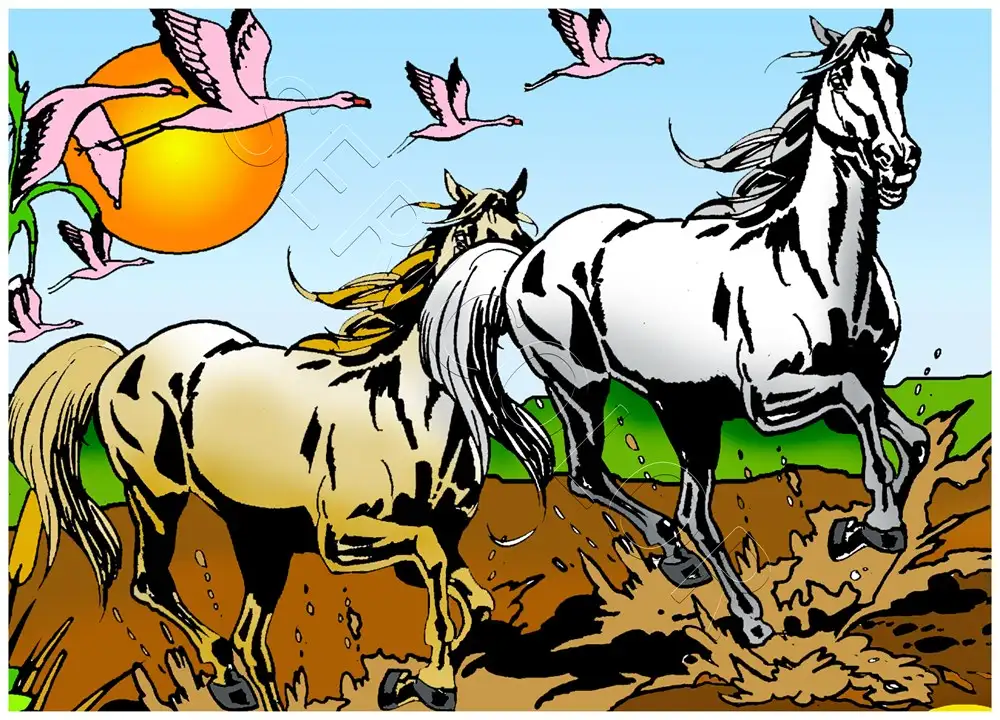 CHEVAUX CAMARGUE – Image 2