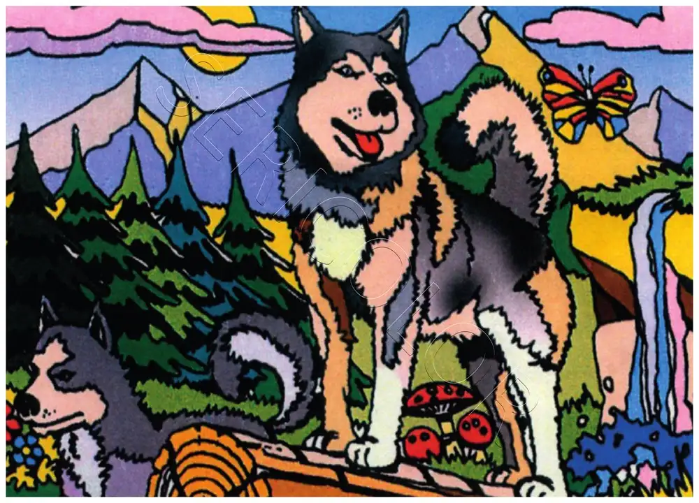 CHIENS HUSKY – Image 2