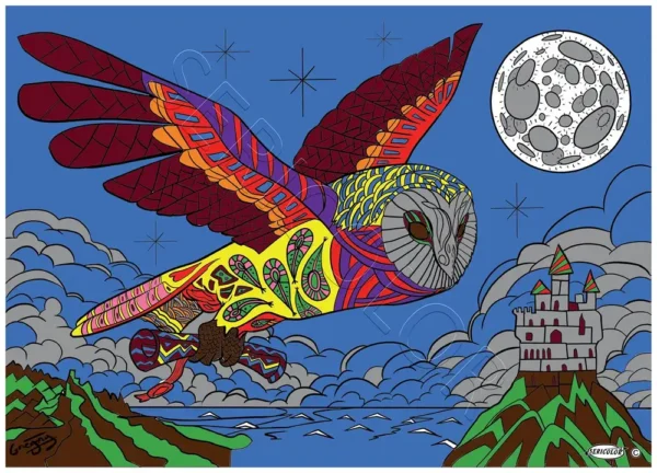 CHOUETTE FOND BLANC GREGORY