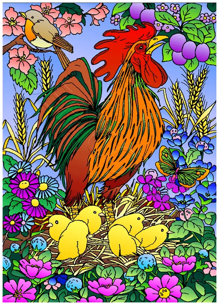 COQ POUSSINS – Image 2