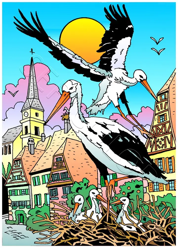 COUPLE CIGOGNE AVEC PETIT – Image 2