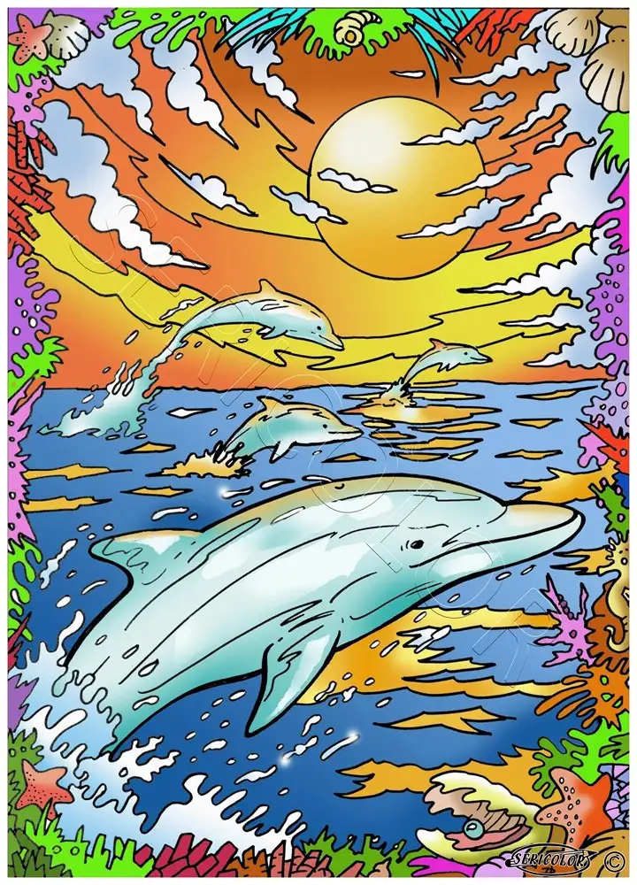 DAUPHIN CREPUSCULE – Image 2