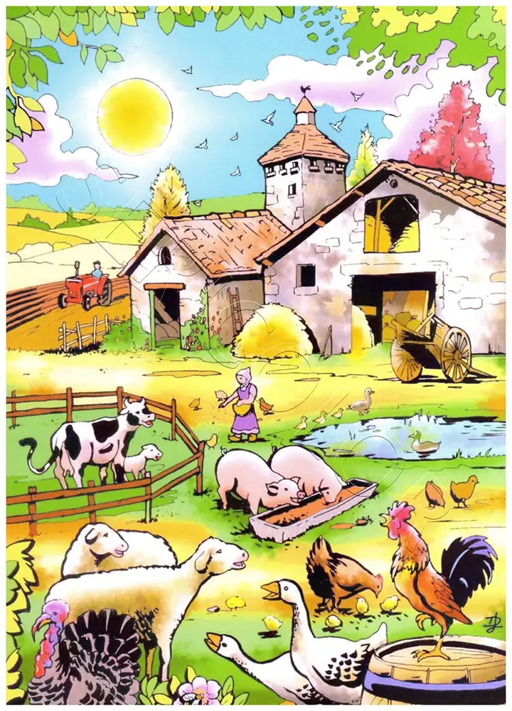 FERME – Image 2