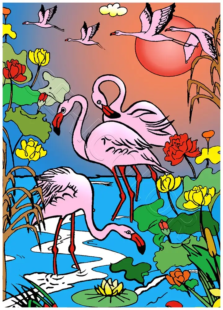 FLAMANT ROSE – Image 2