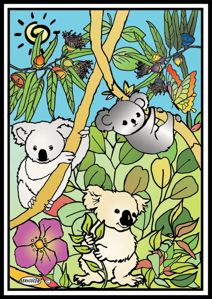 TABLEAU SERICOLOR - KOALAS