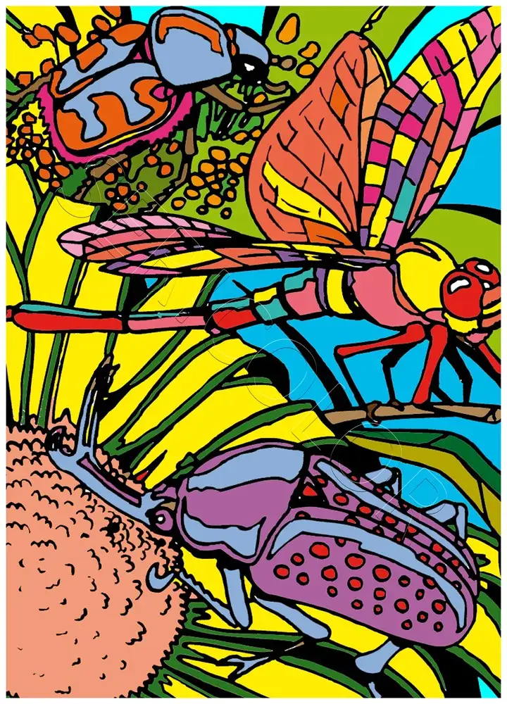 LIBELLULE – Image 2