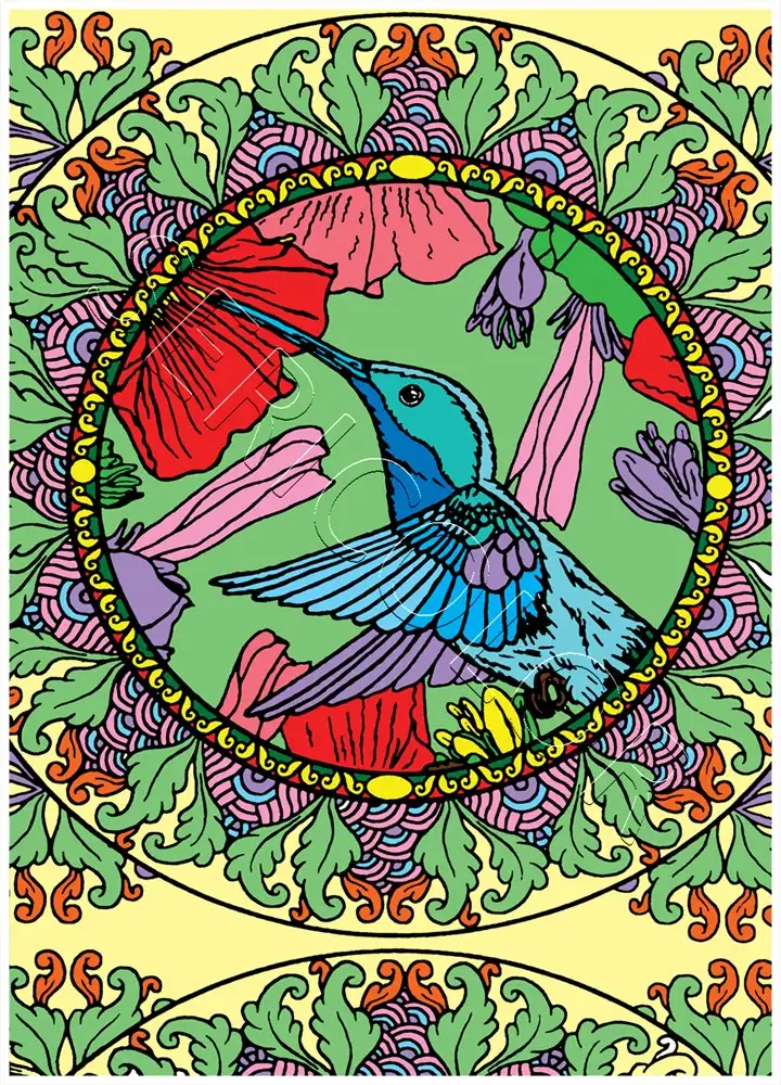 MANDALA COLIBRI – Image 2