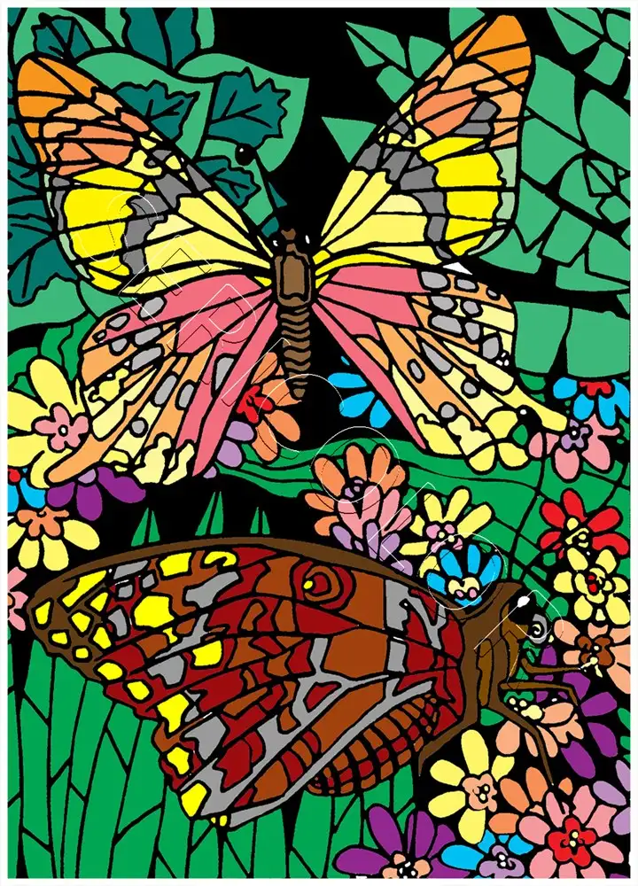 PAPILLON CHARAXE – Image 2