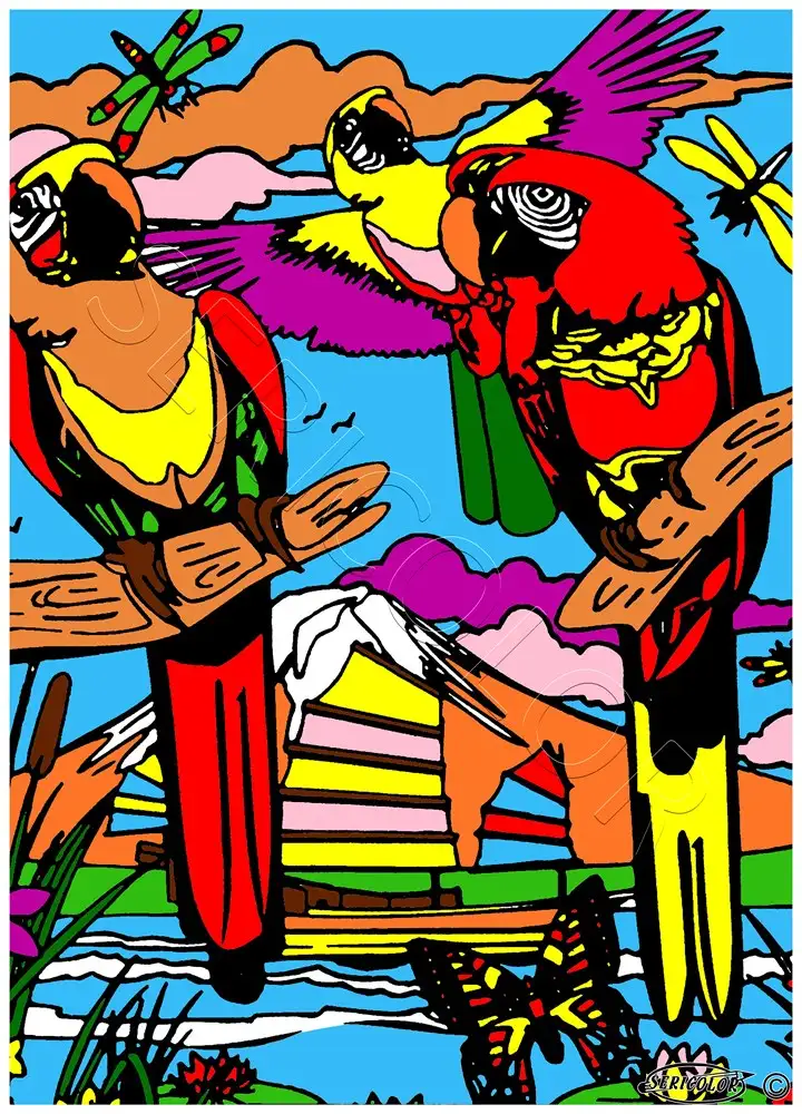 PERROQUETS RIVIERE – Image 2