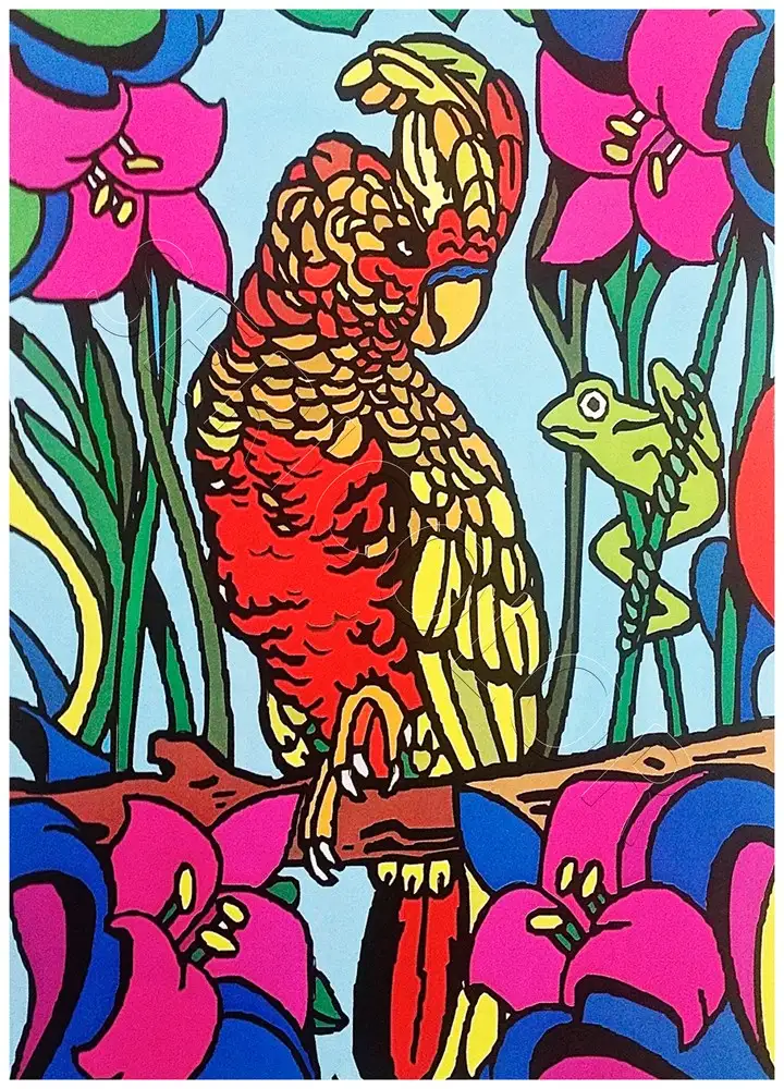 PERRUCHE – Image 2