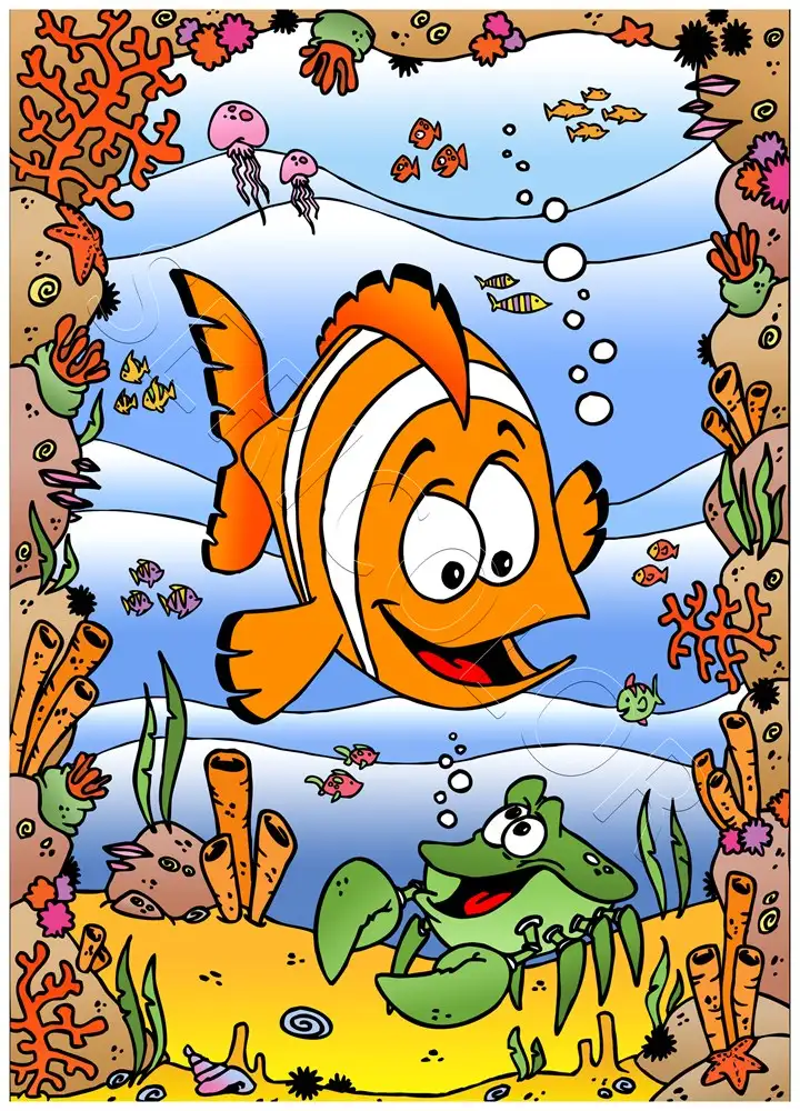 POISSON CLOWN – Image 2