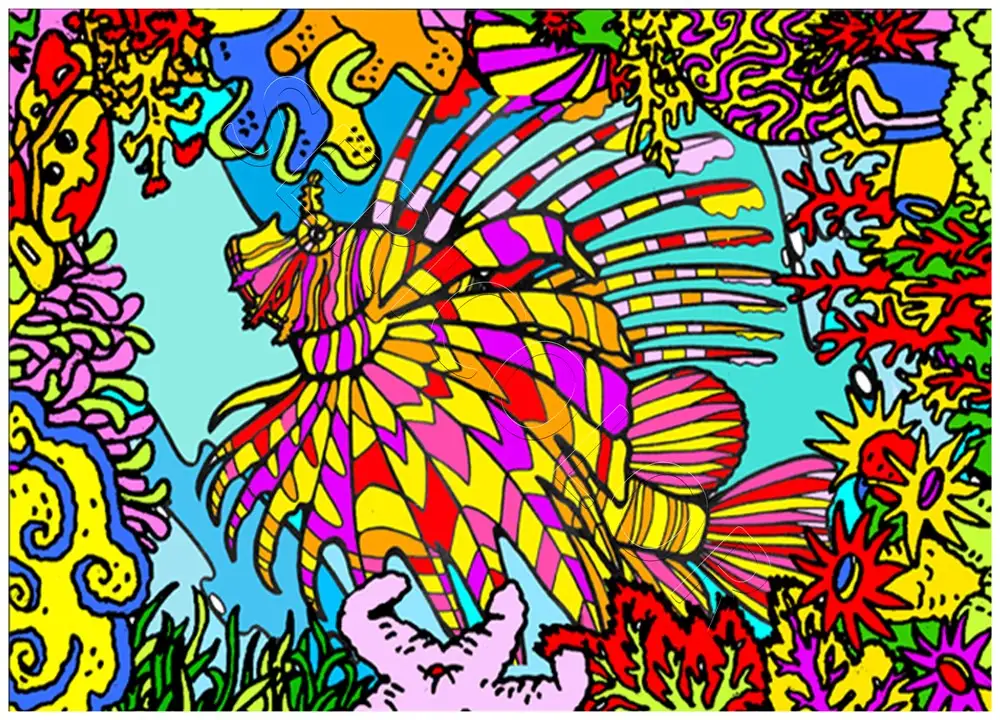 RASCASSE – Image 2