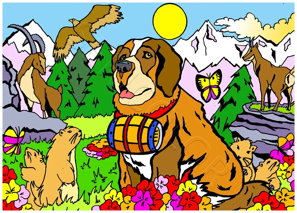 SAINT BERNARD FAUNE MONTAGNE – Image 2