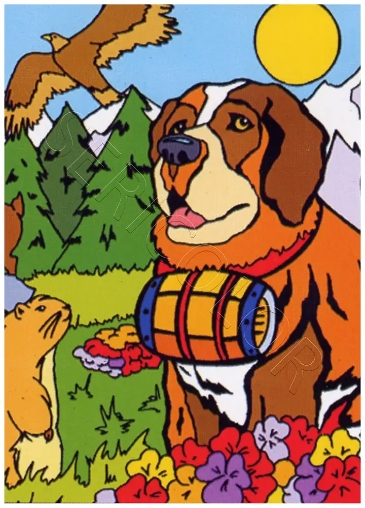 SAINT BERNARD SEUL – Image 2