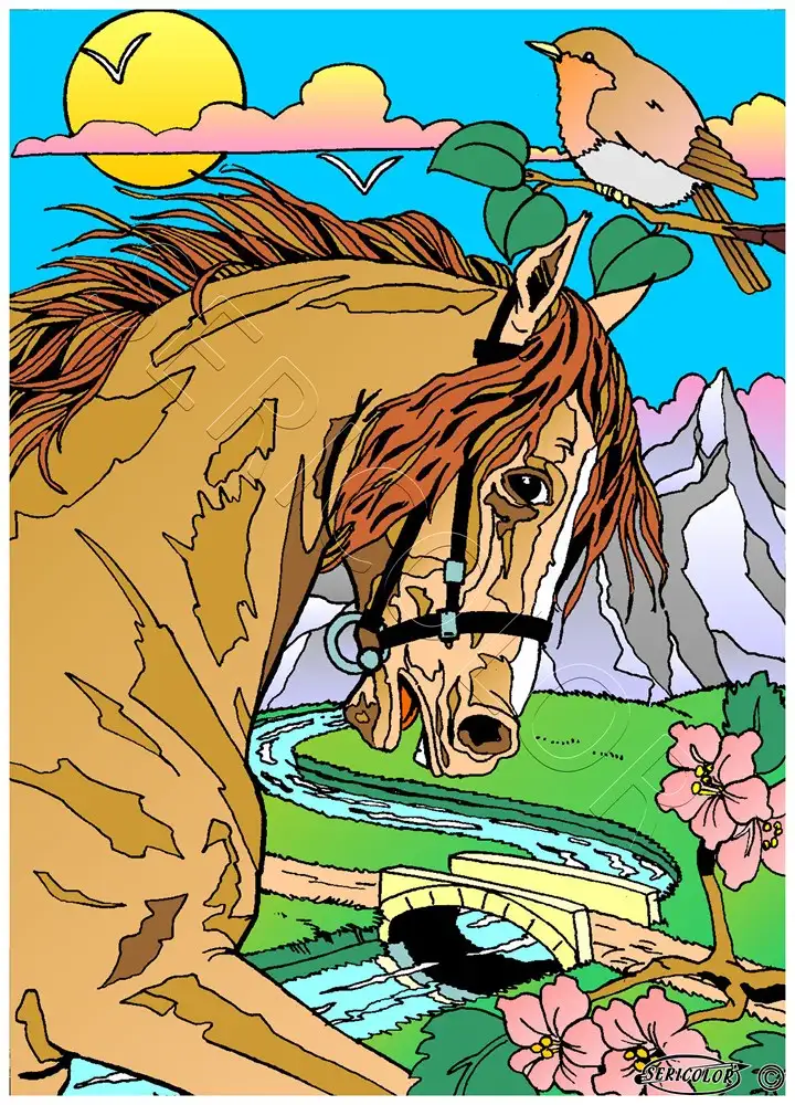 TÊTE DE CHEVAL – Image 2