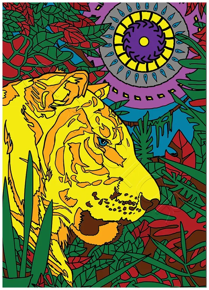 TIGRE GREGORY – Image 2