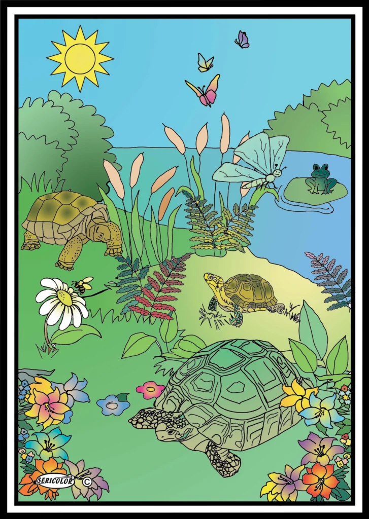 TABLEAU SERICOLOR - TORTUES
